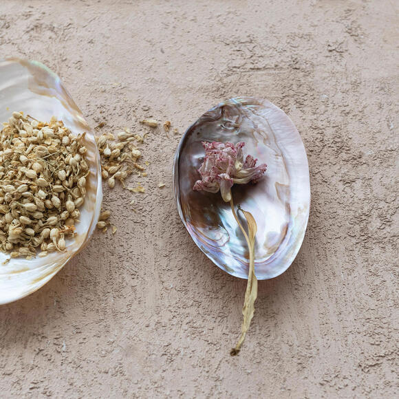 MAG-7"L x 4-1/4"W Decorative Natural Shell Footed Dish (Each One Will Vary) - Picture 4 of 5